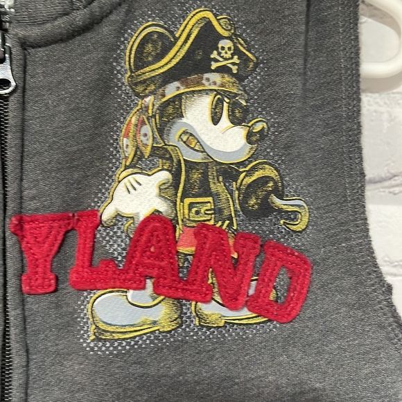 Unisex Gray Sleeveless Disneyland  Hoodie Medium - Picture 2 of 14